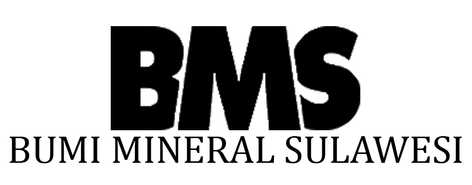 Logo BMS